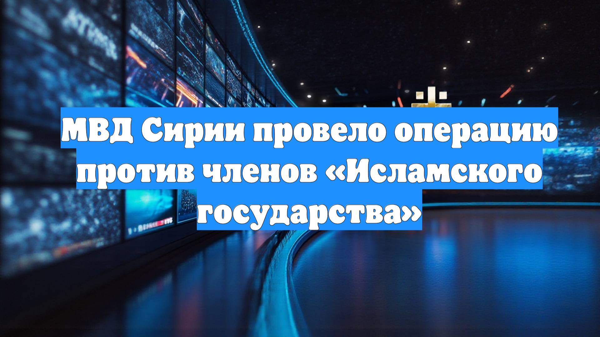 МВД Сирии провело операцию против членов «Исламского государства»