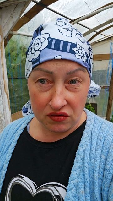 Крик души