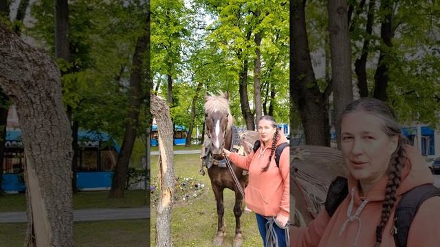 Русский тяжеловоз по имени Буян. Красавец 😍 Случайно встретила на Сокольниках.