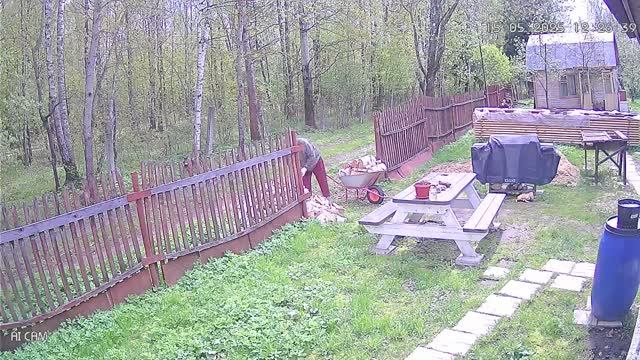 ДРОВА Май 2025г