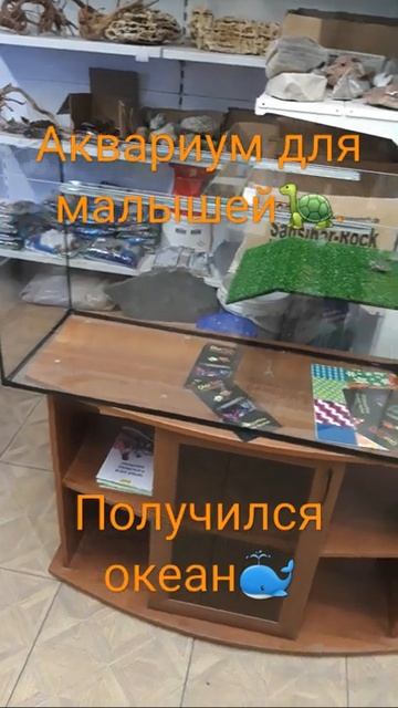 Аквариум для черепах с островком. В наличии и под заказ Синодонтис, Иркутск, ул. Трудовая 56/1