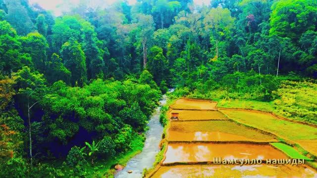 #Коран#Юсуф#СамыеКрасивыеМеста#Relaxation##Islam#Quran#Yusuf#Minshawiy 4кВидео#17часть#