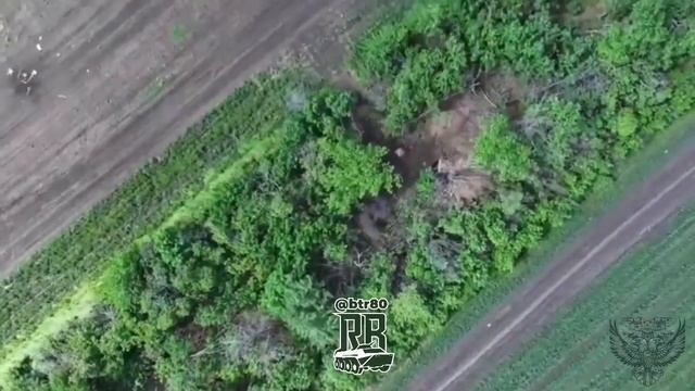 Батальон Медведи с хирургической точностью работает с воздуха по противнику на Покровском направлени