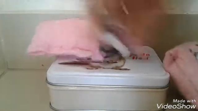 Топ 5 как не надо снимать видео с LPS