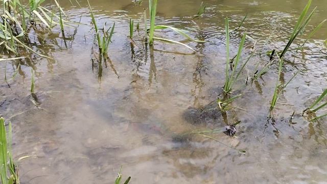 17.05.25г.р.Беспута 🎣 🏕️ ☀️