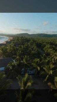 полет над пальмами