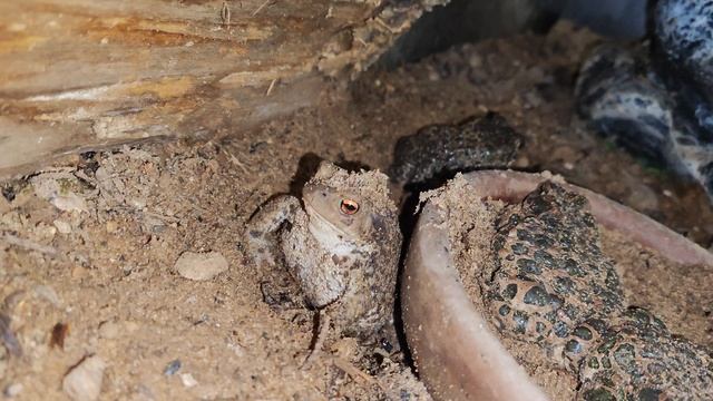 Когда раскопки пошли не по плану