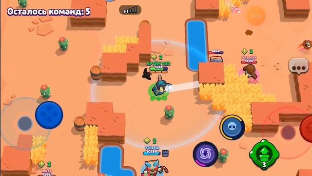 играю с тапочком