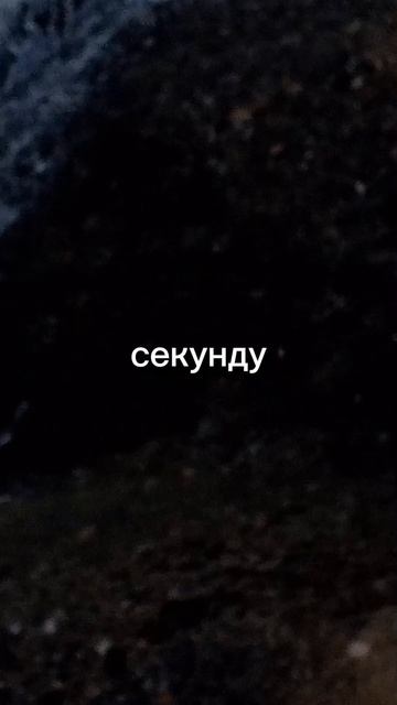 Ты единственный человек, который..