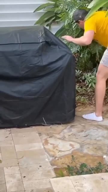 1000082876.mp4