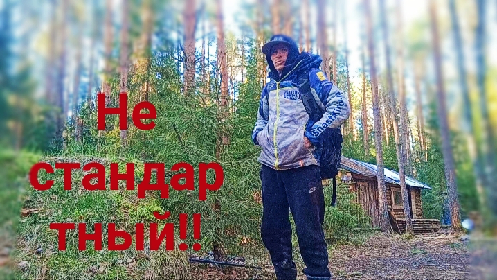 Z.Б.154. С приветом из БОРА УЮТ! Собираюсь на рыбалку. Опять на ломал ГРИБОВ! С голоду НН ПРОПАДЁМ!