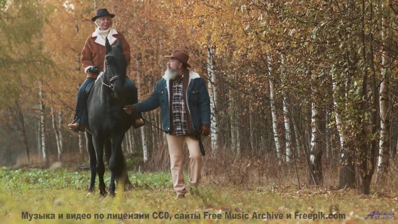 Музыка, которая звучит так, будто её написали духи природы! - Adventure -- Chad Crouch -- Motion