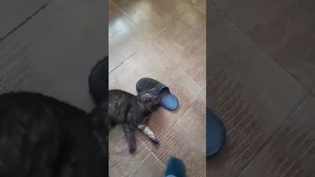 Кто раньше встал того и тапки.