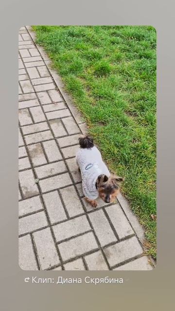 наше кредо? Всегда!