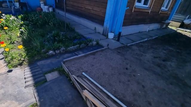 🌼Дом в Перекопе расцвел и наполнился цветами🌸