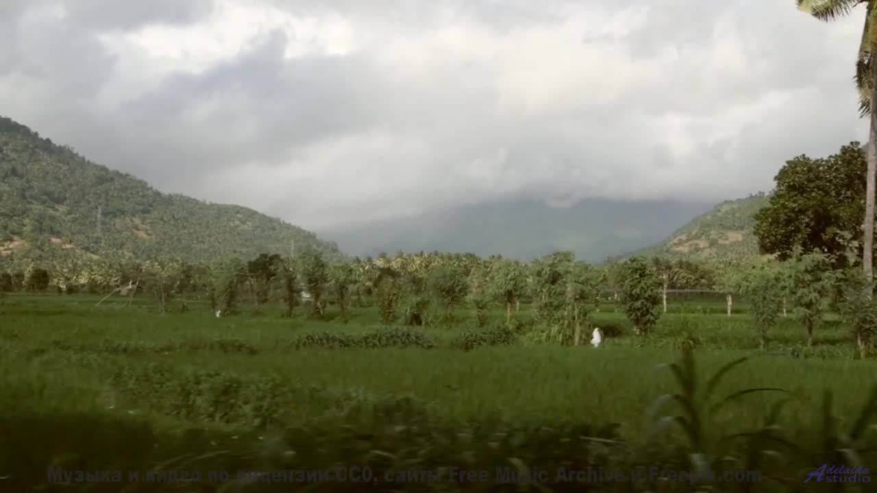 Музыка заставляет забыть обо всём вокруг - Unusual Love -- Daniel Birch -- Stargazing