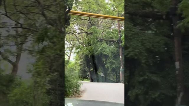 ПАРКОВЫЙ СПУСК КОРЕИЗ