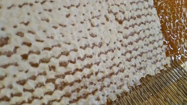 пасека для души,распечатка пчелиных медовых сот