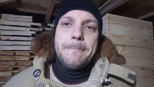 👉🐝Матка не перестає з осені сіяти! Розбираємо причину! #бджільництво #beekeeping #пчеловодство