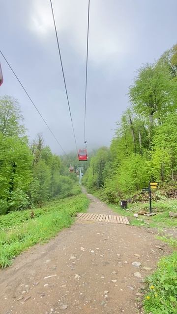 Добрый вечер!