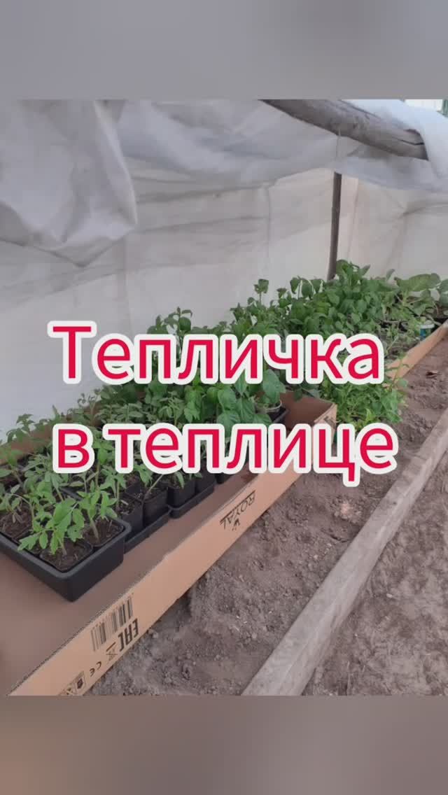 тепличка в теплице