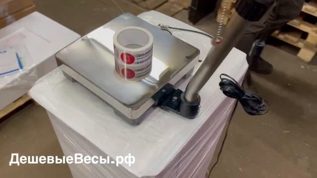 CAS BW-15RB | Весы товарные