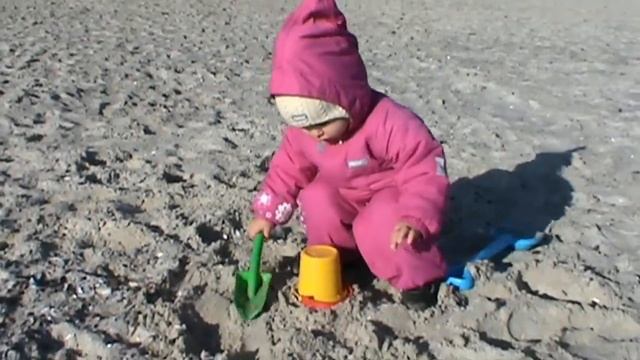 Мисс Кэйти и Мистер Макс (Miss Katy) Кэти со щенком на берегу Черного моря