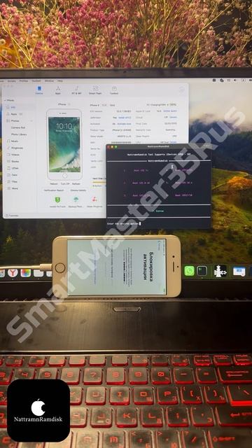 🔓 Разблокировка и обход iCloud блокировки (без сигнала) на iPhone 6 16Gb Gold 🔓