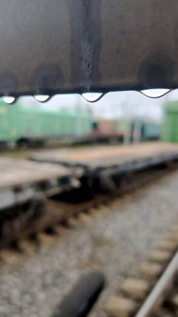 Яндекс угадал погоду 😄😀😄