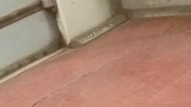 1000010441.mp4