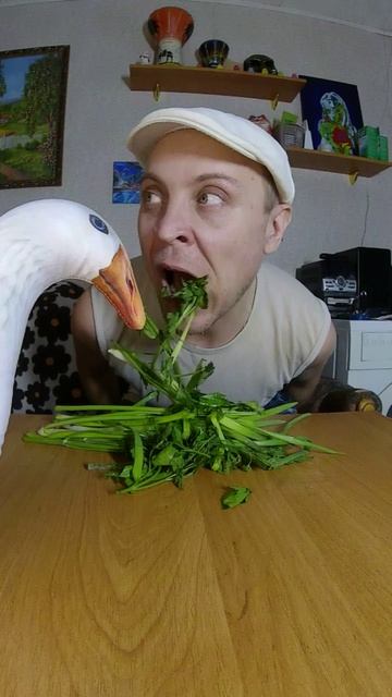 мелен