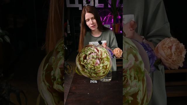 Пиши в комментах какой вариант тебе понравился? Фисташковый? Лавандовый или золотой?
