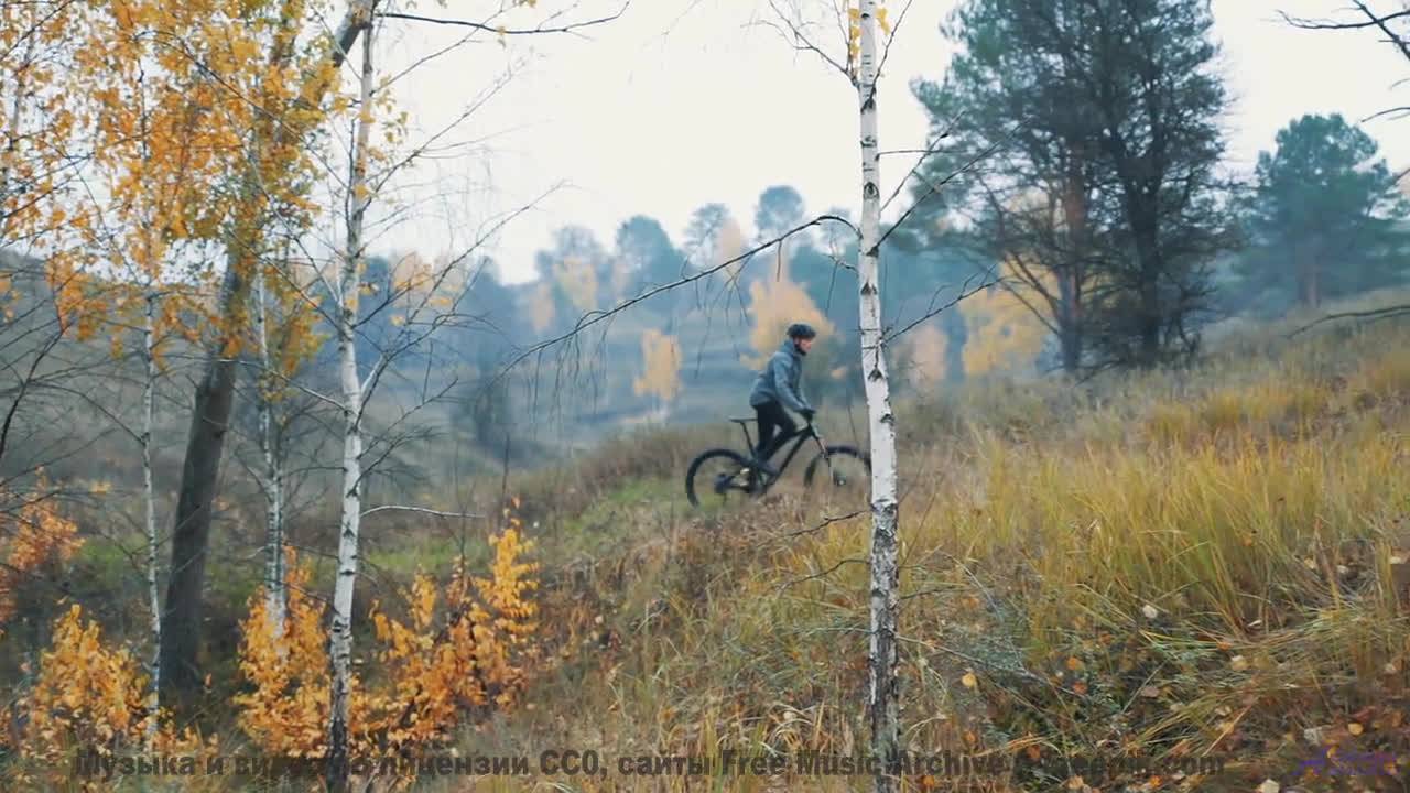 Пейзажи дышат в такт каждому аккорду - Sacred Mountain -- Ayla Nereo -- Beheld