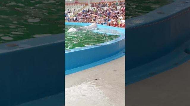 1000005629.mp4