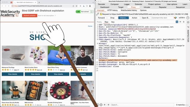23. Discovering Blind SSRF Vulnerabilities