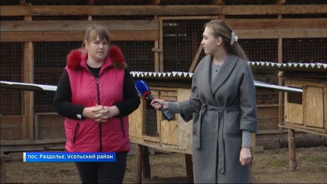 Сельхозтехнику для своего хозяйства жители Иркутской области могут купить на средства гранта