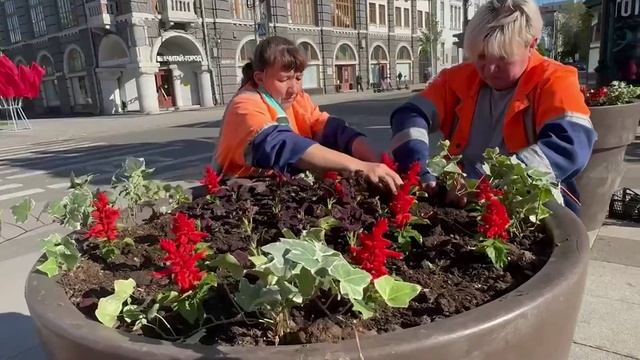 В Саратове необходимо кратно наращивать объемы высадки цветов и кустарников