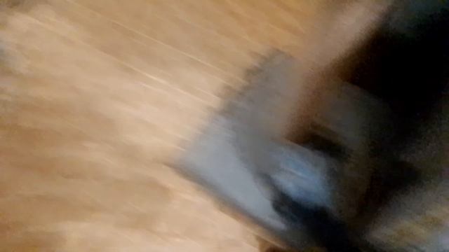 моя кошечка Маруся (она очень пугливая)