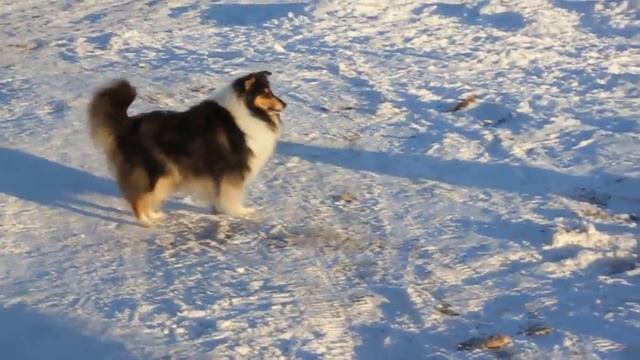 Прогулка 2018, часть 2  Молодежь