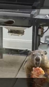 Когда после 6 не ешь, а подруга ест 😜😀😀