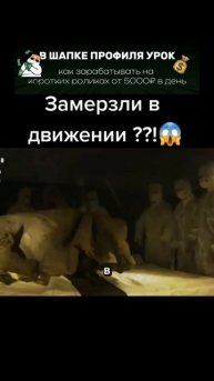 Они замерзл в движении