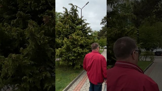 АБРАУ - ДЮРСО / МАЙ 2025