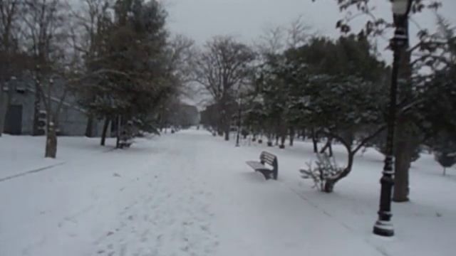 Снежинки  медленно падают