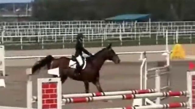 Курзан Жанна на Принце 120 см1 день