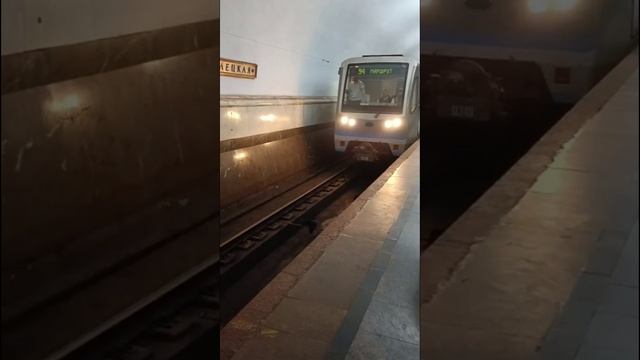Парад поездов на кольцевой 5 линии в Московском метро.