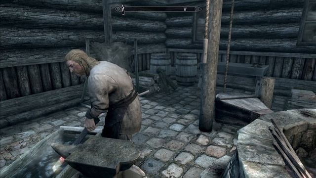 Skyrim. Стражника глючит