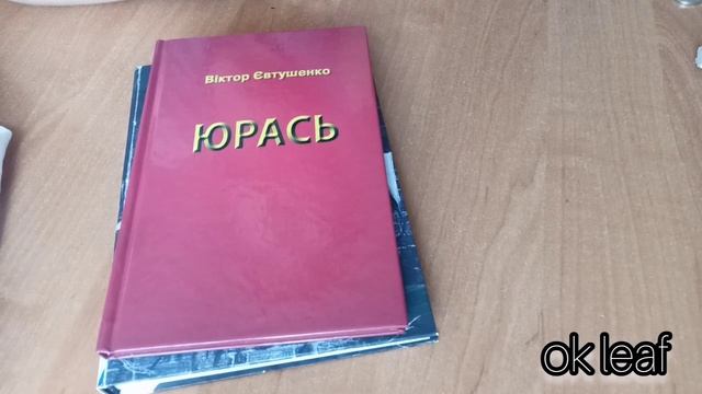 VLOG. ВЛОГ з 22 по 29 липня 2024 року #українською #влог #сороч