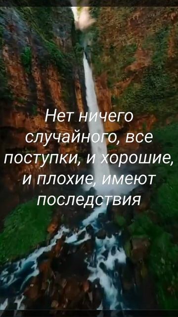 Цитата