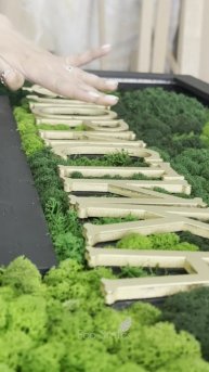 Процесс создания логотипа из стабилизированного мха