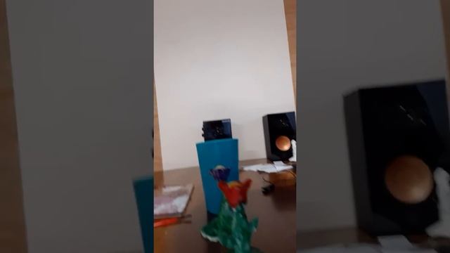 2 видео))